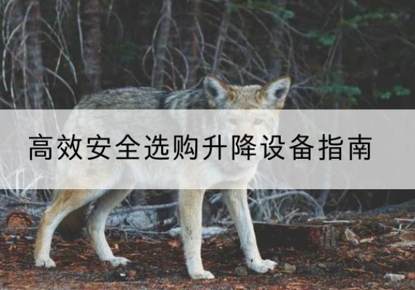 金塔升降货梯厂家推荐-*安全选购升降设备指南