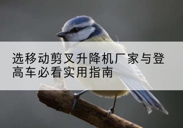 金塔电动升降机厂家-选移动剪叉升降机厂家与登高车必看实用指南