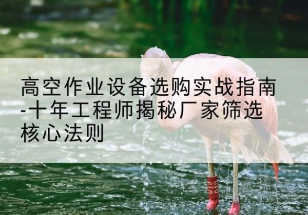 金塔剪叉式升降机厂家-高空作业设备选购实战指南-十年工程师揭秘厂家筛选核心法则
