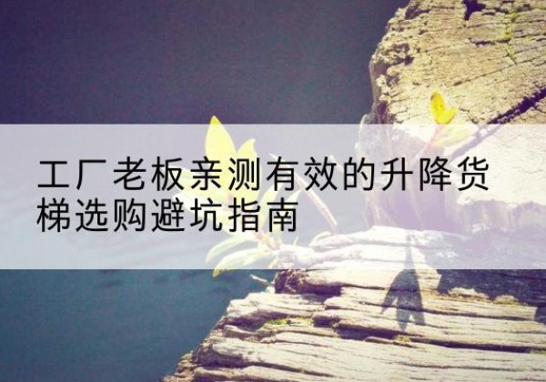 金塔升降货梯怎么选-工厂老板亲测有效的升降货梯选购避坑指南